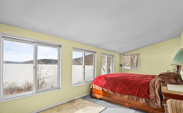 bedroom featuring vaulted ceiling and carpet