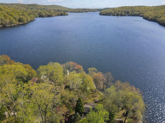bird's eye view featuring a water view and a wooded view