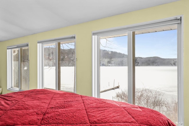 bedroom featuring access to exterior