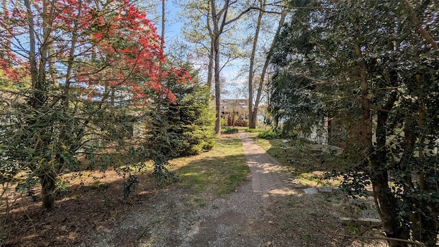 view of road featuring driveway