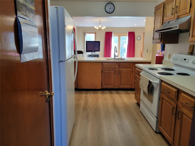 kitchen with light wood-type flooring, under cabinet range hood, a sink, white appliances, and light countertops