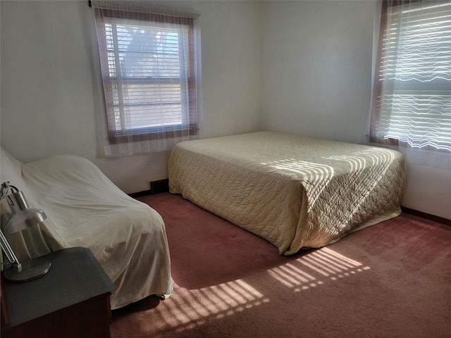 bedroom with multiple windows and carpet floors