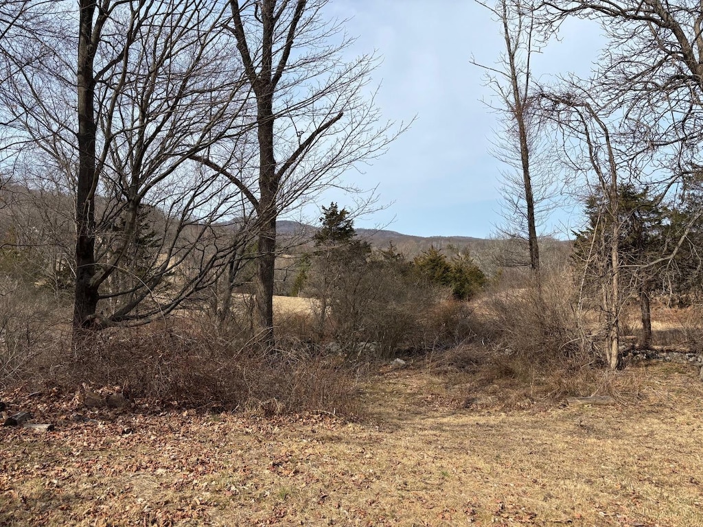 view of landscape