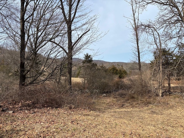 view of landscape