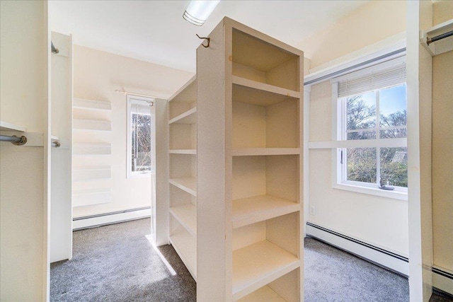 69 Leber Rd, Blauvelt, NY 10913 - walk in closet featuring carpet and a baseboard radiator