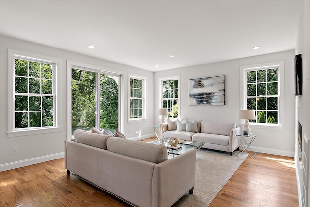 living room featuring recessed lighting, wood finished floors, and baseboards