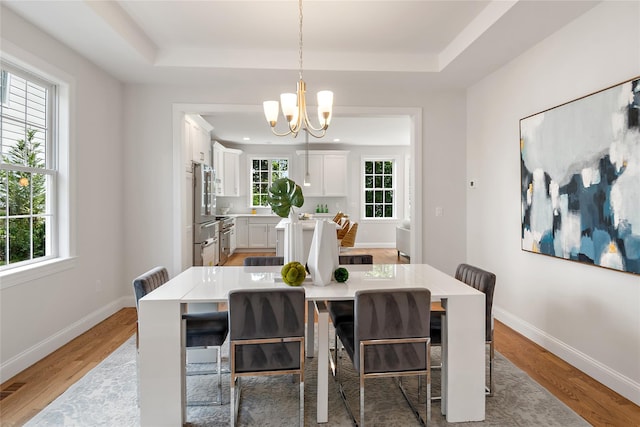 dining room with a raised ceiling, light wood-style floors, and a wealth of natural light