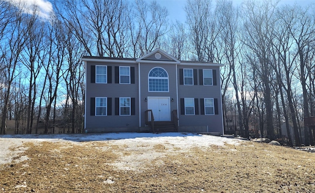 view of colonial-style house