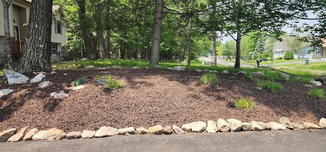 164 Lake Shore Dr E, Rock Hill, NY 12775 - view of yard