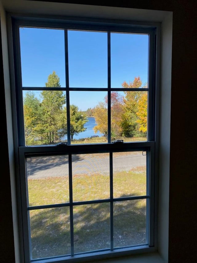 164 Lake Shore Dr E, Rock Hill, NY 12775 - detailed view of nearby water