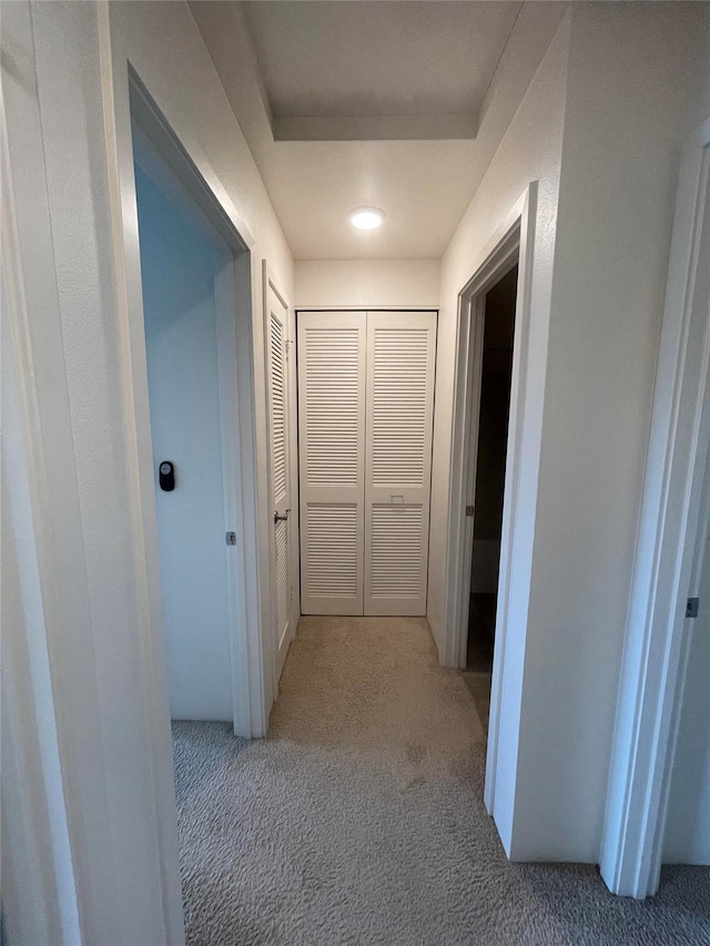 hallway featuring light carpet