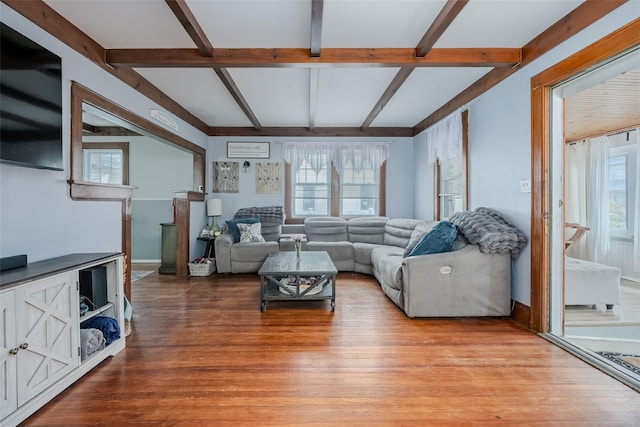 living room with beam ceiling, plenty of natural light, and wood finished floors