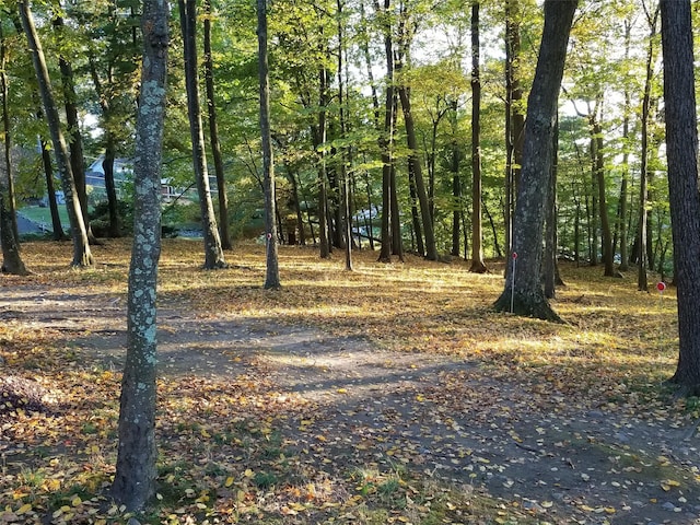 view of street