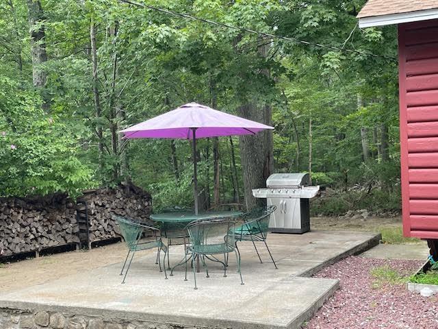 view of patio / terrace with outdoor dining space and a grill