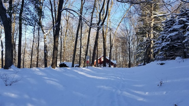 snowy yard with a view of trees