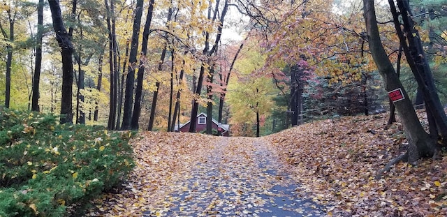 exterior space with a forest view