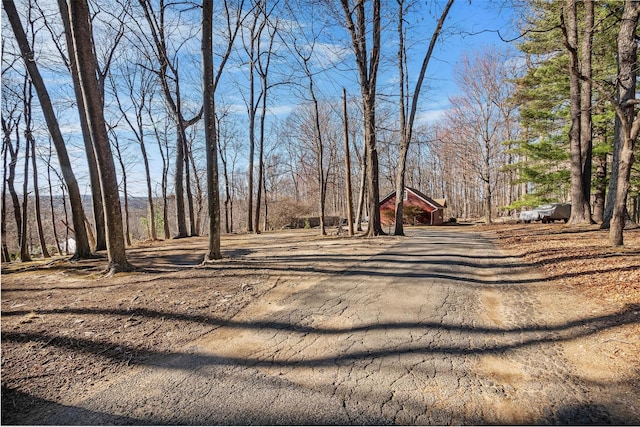 3 Rodman Pl, Spring Valley, NY 10977 - view of yard featuring driveway