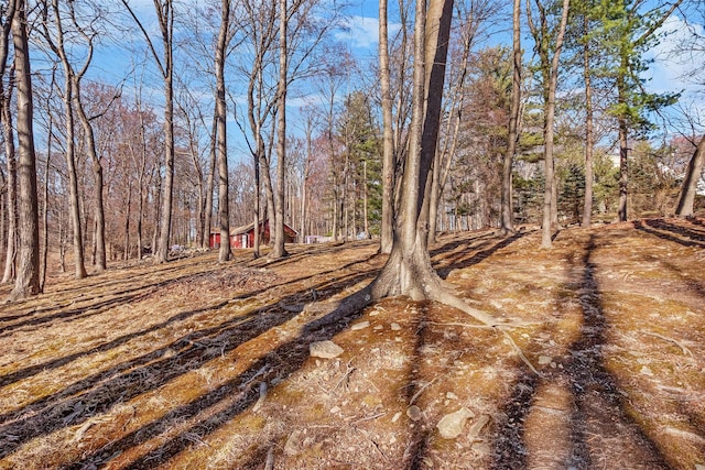 3 Rodman Pl, Spring Valley, NY 10977 - view of yard