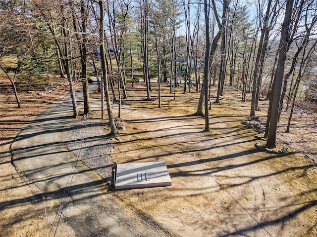 3 Rodman Pl, Spring Valley, NY 10977 - view of community