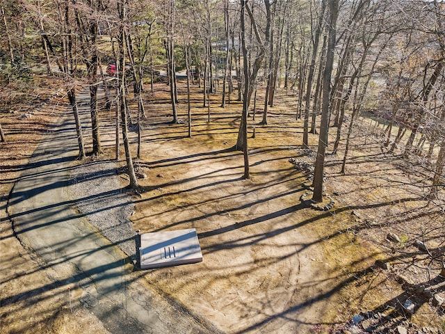 3 Rodman Pl, Spring Valley, NY 10977 - view of property's community