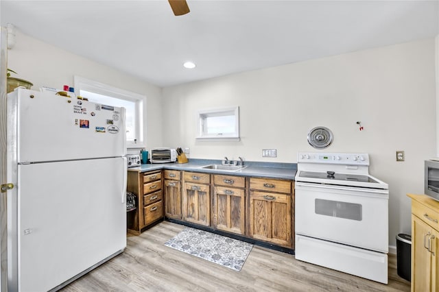 kitchen with light wood finished floors, brown cabinets, white appliances, a ceiling fan, and a sink