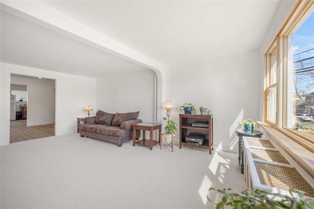 living area featuring baseboards and light carpet