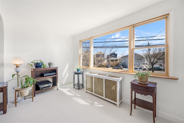 living area with radiator, baseboards, and carpet floors