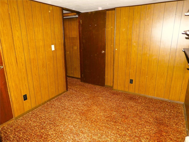 spare room featuring wood walls and carpet