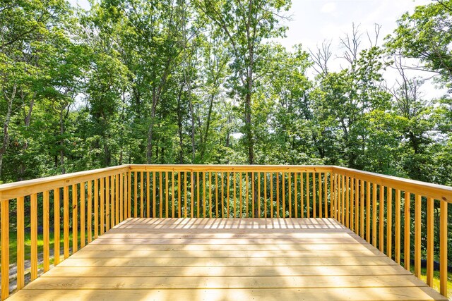 10 Page Ct, Poughkeepsie, NY 12603 - photo 26