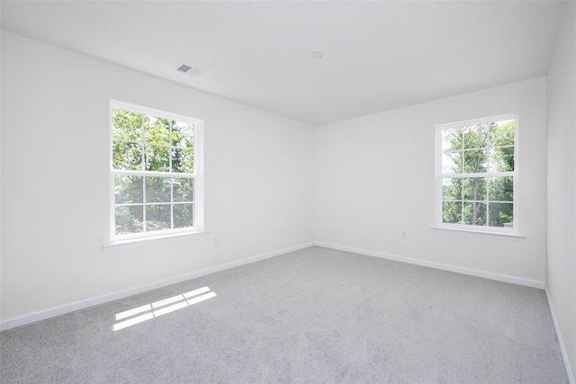 10 Page Ct, Poughkeepsie, NY 12603 - photo 22