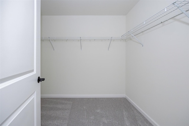 10 Page Ct, Poughkeepsie, NY 12603 - photo 19