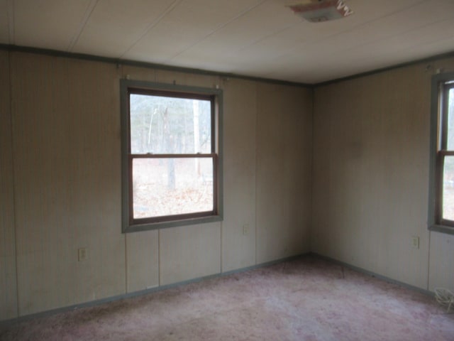 view of carpeted empty room