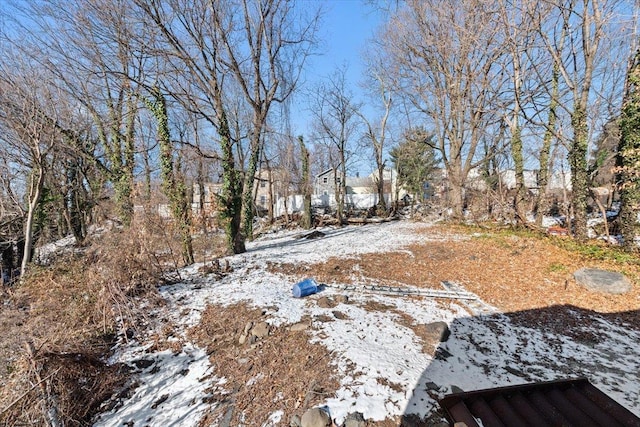 view of snowy yard