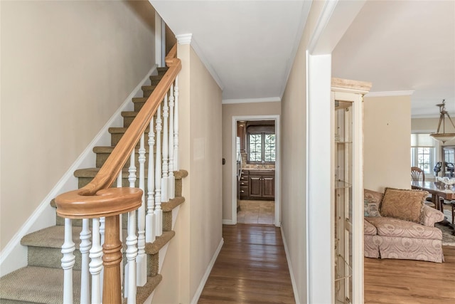 hallway with stairway, baseboards, wood finished floors, and ornamental molding