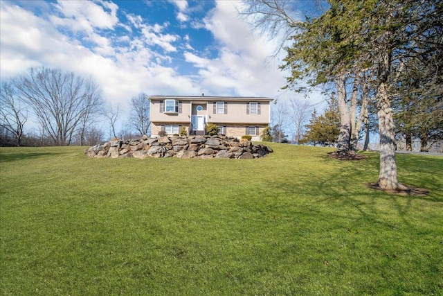 rear view of property featuring a yard