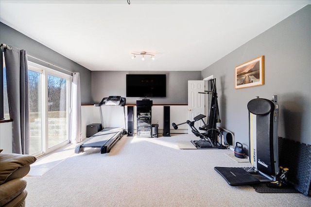 workout area featuring carpet flooring