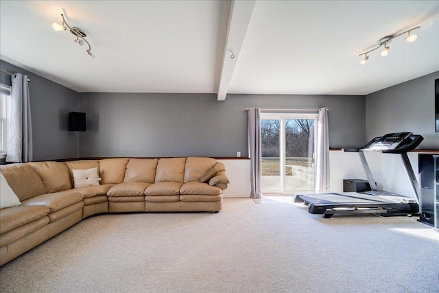 carpeted living area with beam ceiling and track lighting