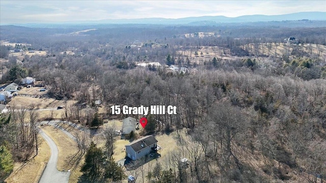 aerial view with a mountain view and a wooded view