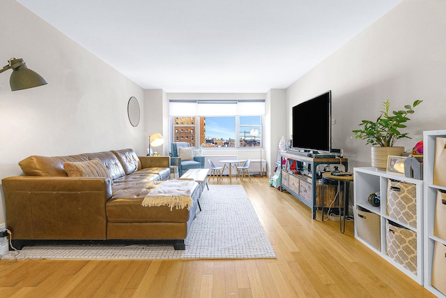 living room featuring light wood finished floors