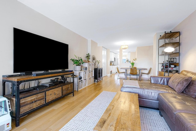 living room featuring light wood-style floors