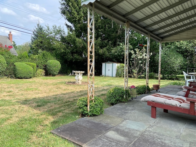 view of yard with a patio area, a shed, and an outdoor structure