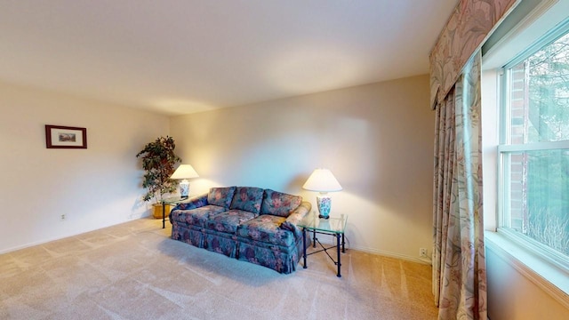 living area featuring carpet flooring