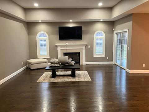 living area with recessed lighting, baseboards, wood finished floors, and a fireplace