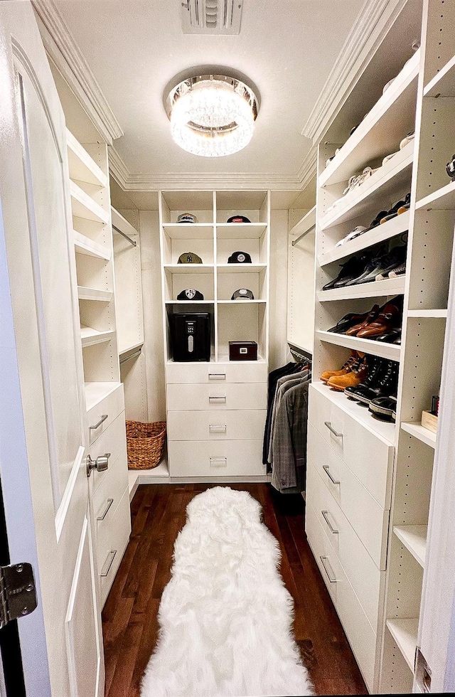 walk in closet featuring dark wood-type flooring and visible vents