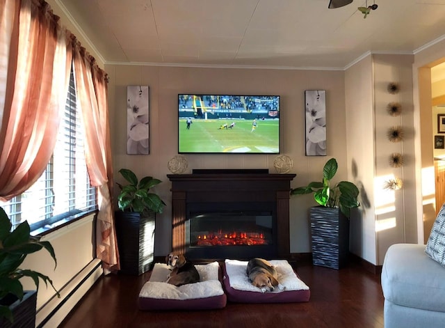 living area with a glass covered fireplace, crown molding, wood finished floors, and a baseboard radiator