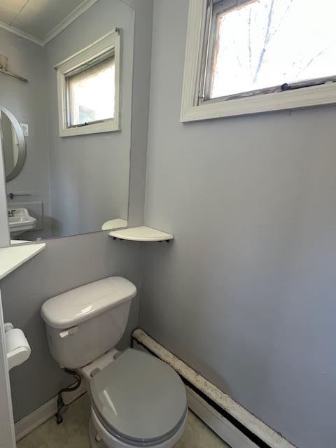 bathroom with toilet and ornamental molding