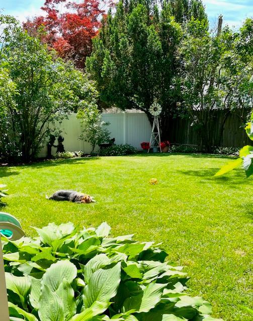 view of yard featuring fence