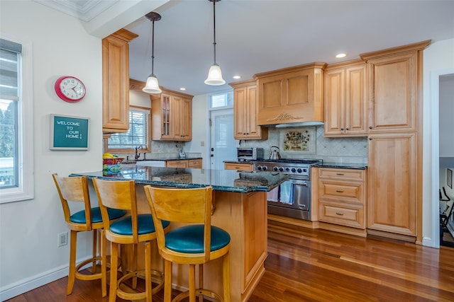 kitchen featuring dark wood finished floors, custom range hood, backsplash, and high end stainless steel range