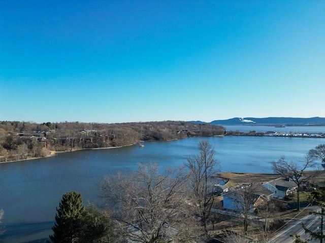 water view featuring a mountain view