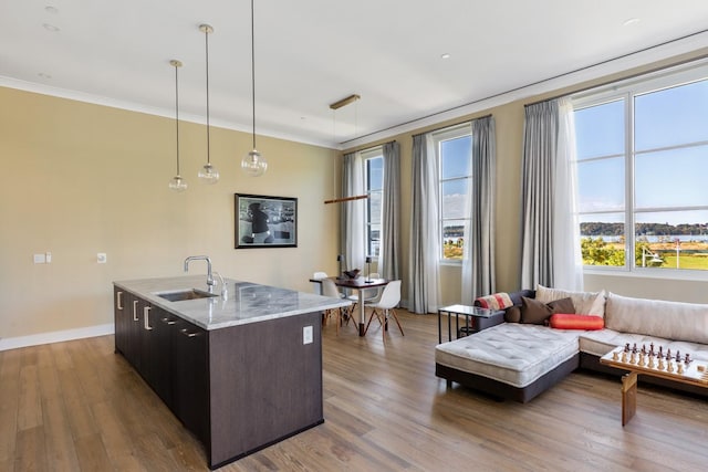 kitchen featuring open floor plan, ornamental molding, wood finished floors, and a sink